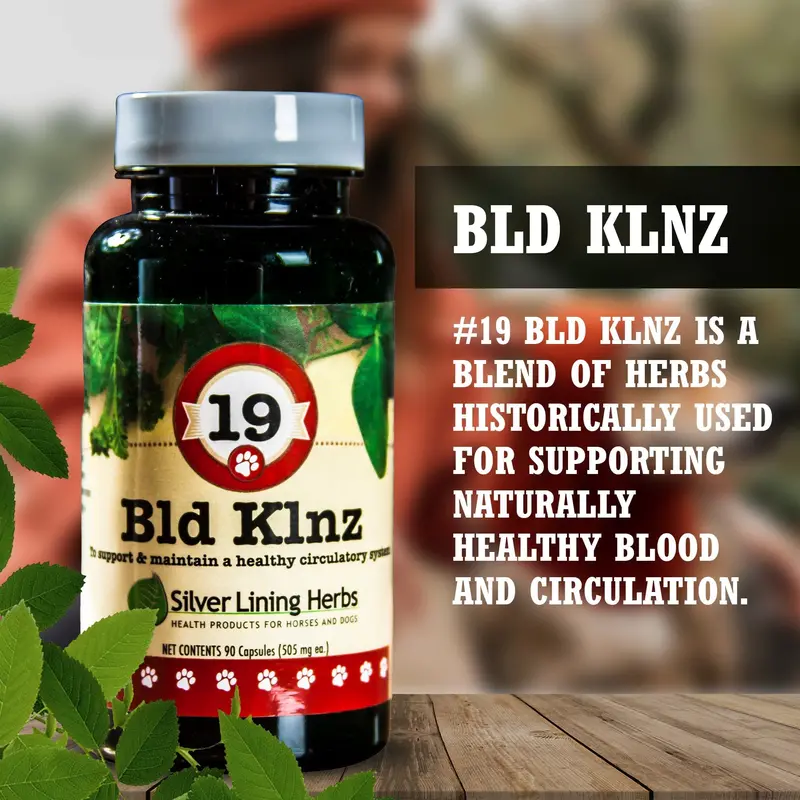 19 Bld Klnz For Canines 2