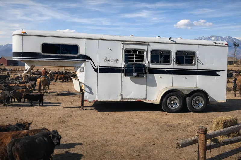 1999 Charmac 3 Horse Gooseneck 1