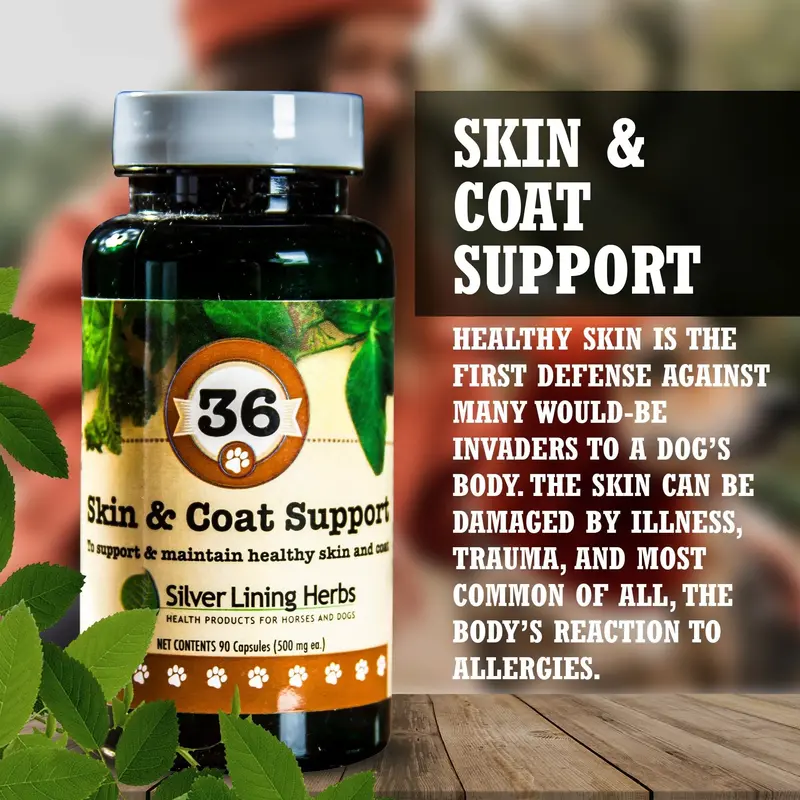 36 Skin & Coat Support For Canines 2