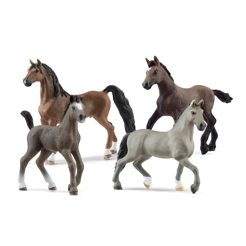 4-Piece Horse Club Bundle 1