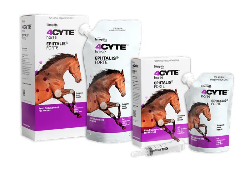 4Cyte™ Epiitalis® Forte Horse 1