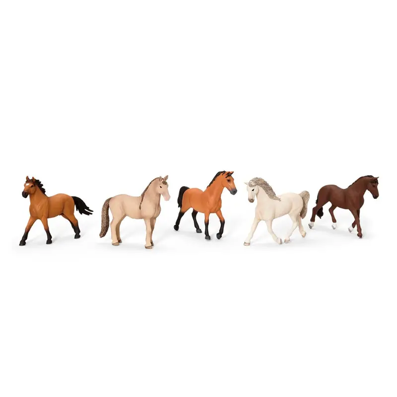 5-Piece Horse Show Bundle 1