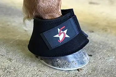 5 Star Neoprene Bell Boot 1
