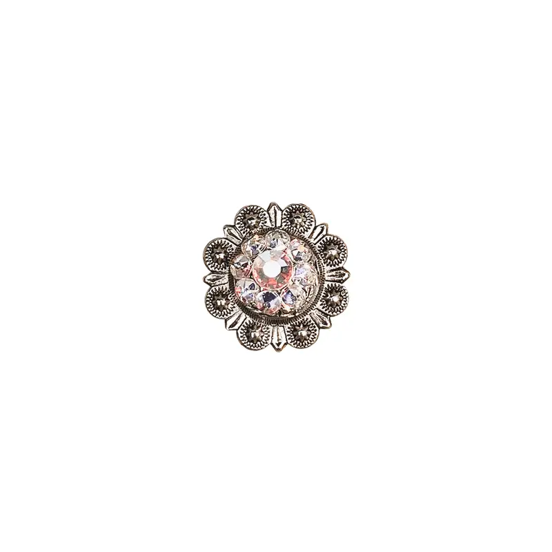 Ab Antique Silver 1" European Crystal Concho 1