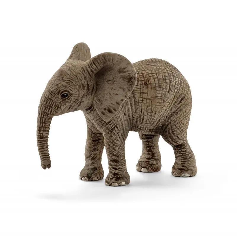 African Elephant Calf 1