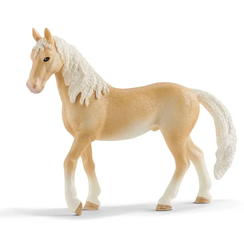 Akhal-Teke Stallion 1