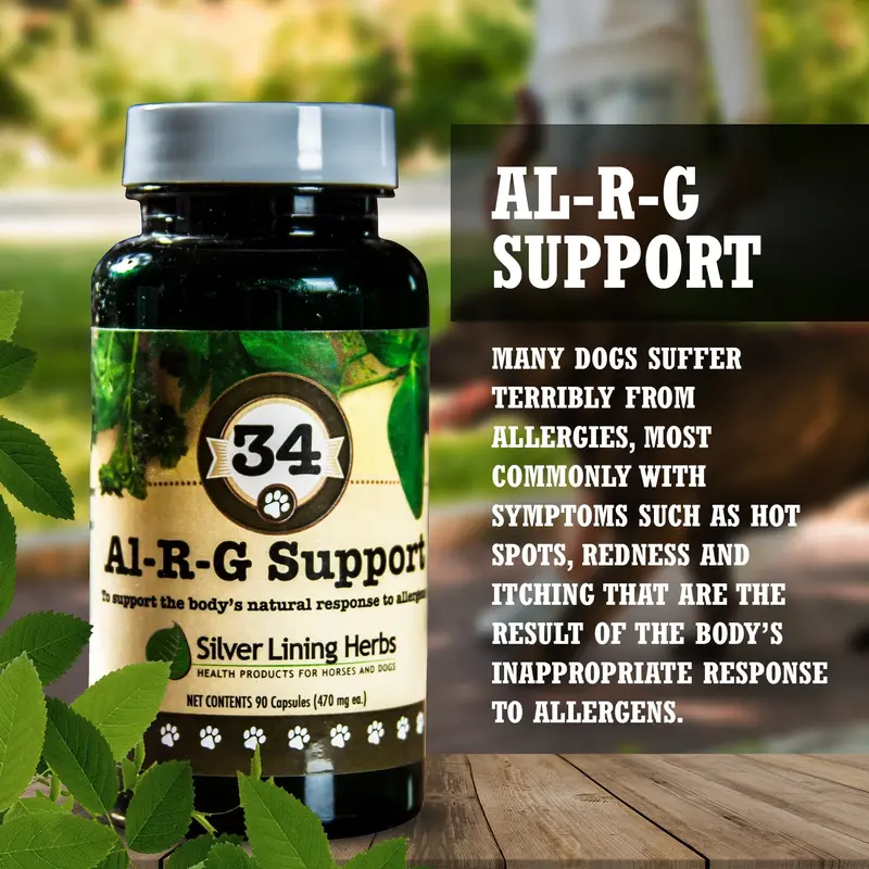 Al-R-G Support For Canines 2