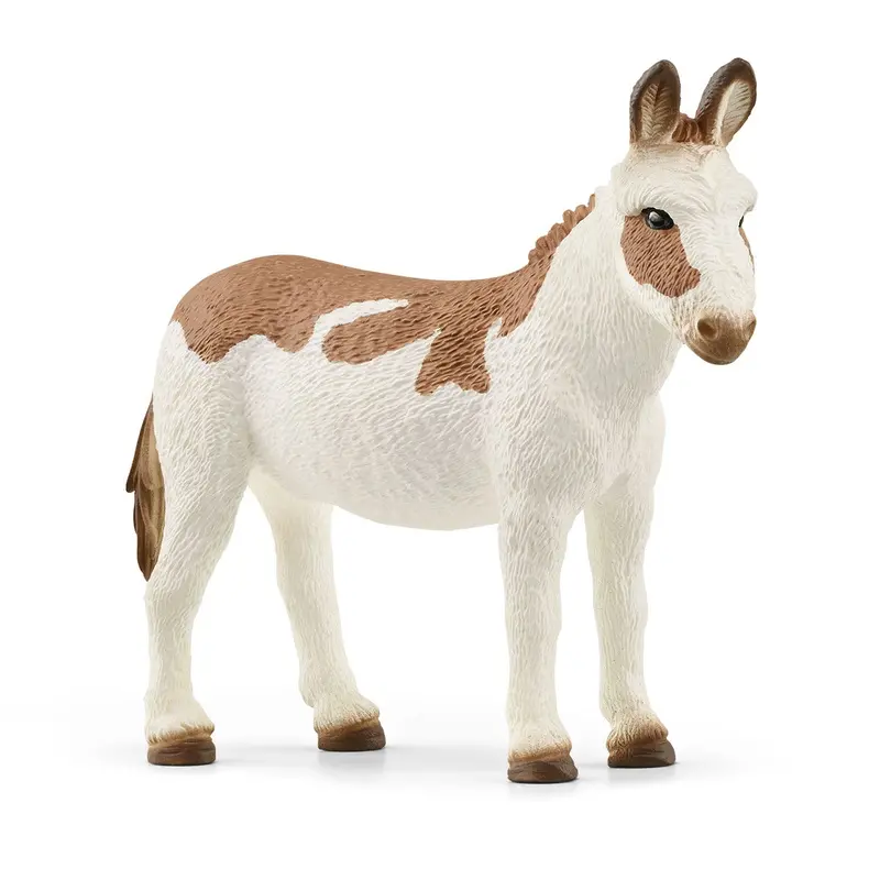 American Spotted Donkey 1