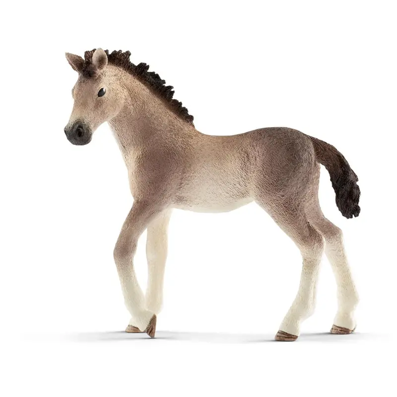 Andalusian Foal 1