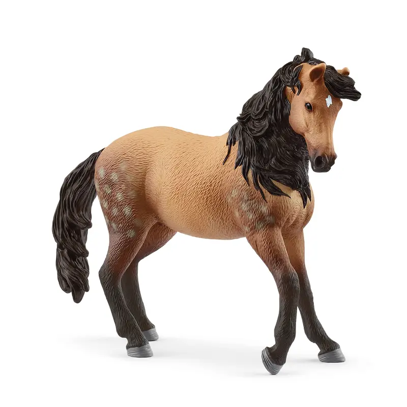 Andalusian Mare 1