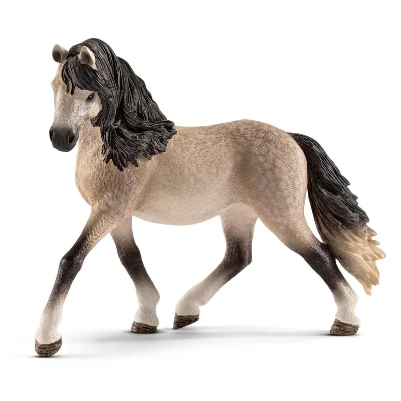 Andalusian Mare 1