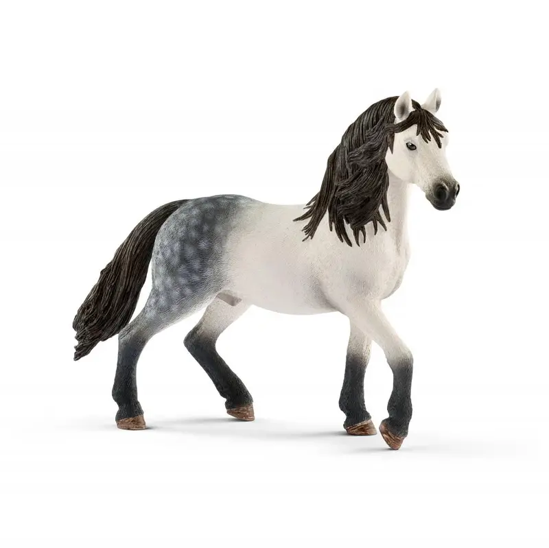 Andalusian Stallion 1