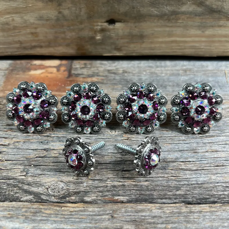 Antique Silver Amethyst & Ab Saddle Conchos 1
