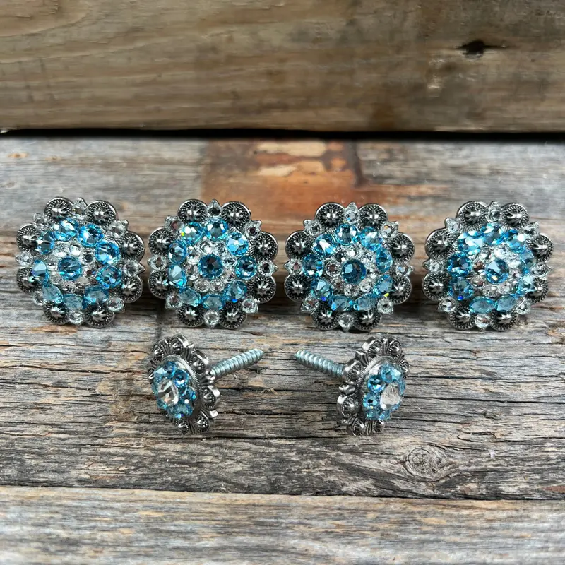 Antique Silver Aqua & Clear Saddle Conchos 1