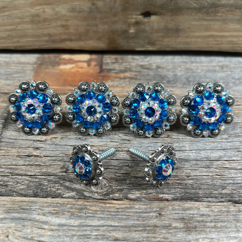 Antique Silver Capri & Ab Saddle Conchos 1