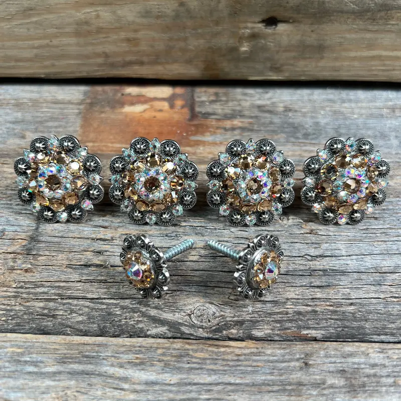 Antique Silver Champagne & Ab Saddle Conchos 1