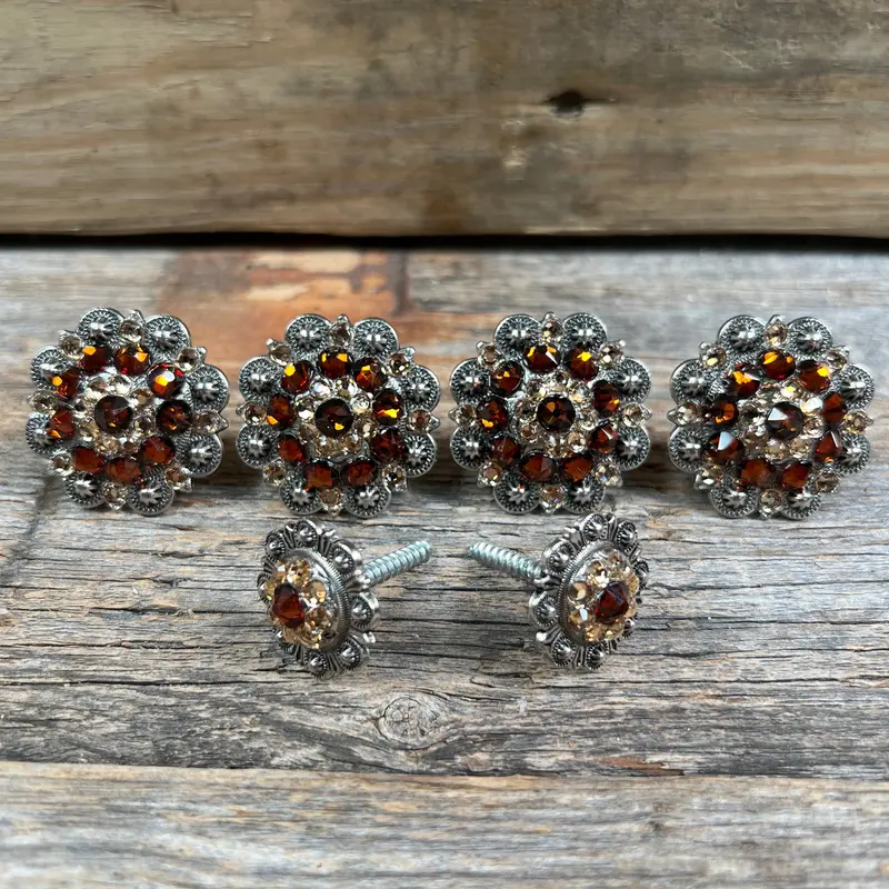 Antique Silver Topaz & Champagne Saddle Conchos 1