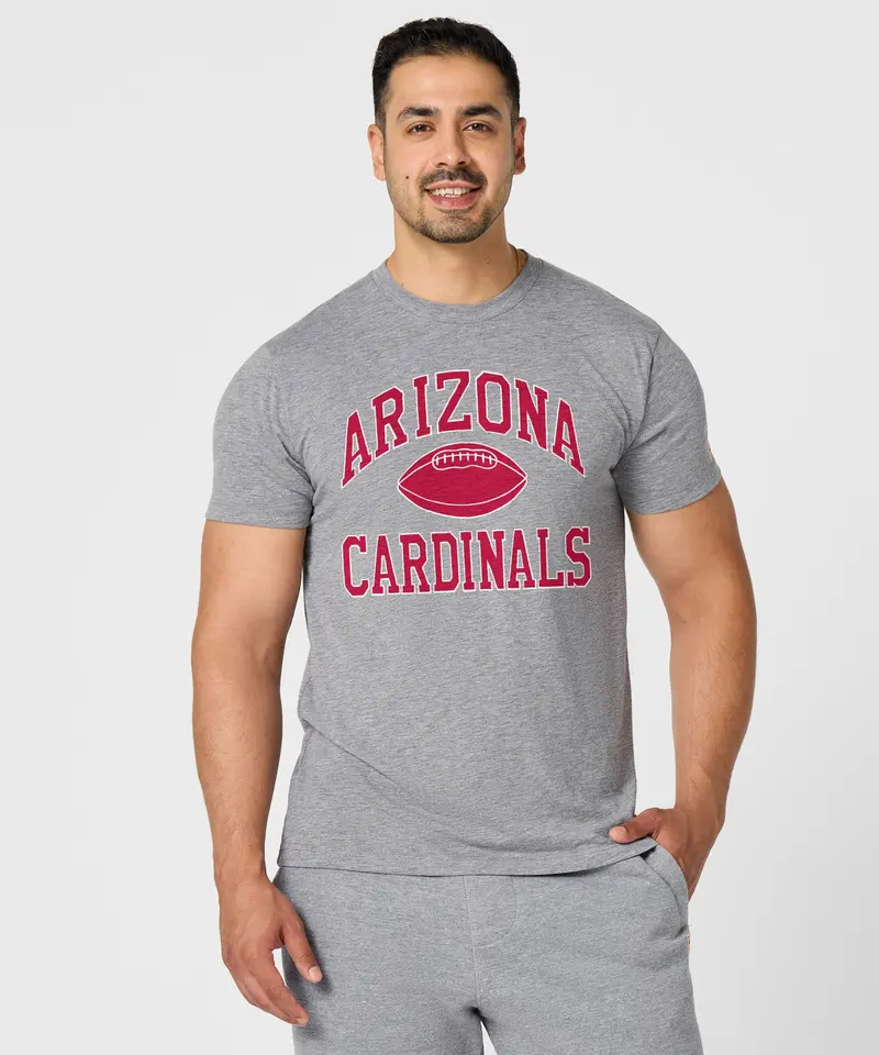 Arizona Cardinals Gridiron 3