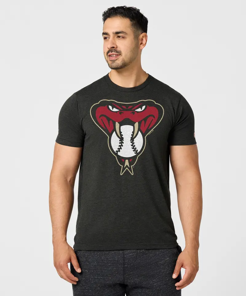 Arizona Diamondbacks Alt Logo '16 3
