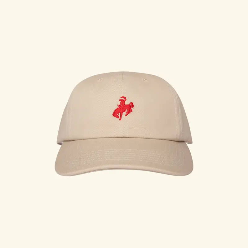 Athletic Dad Hat 1