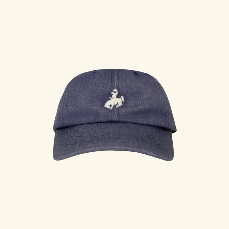 Athletic Dad Hat 1