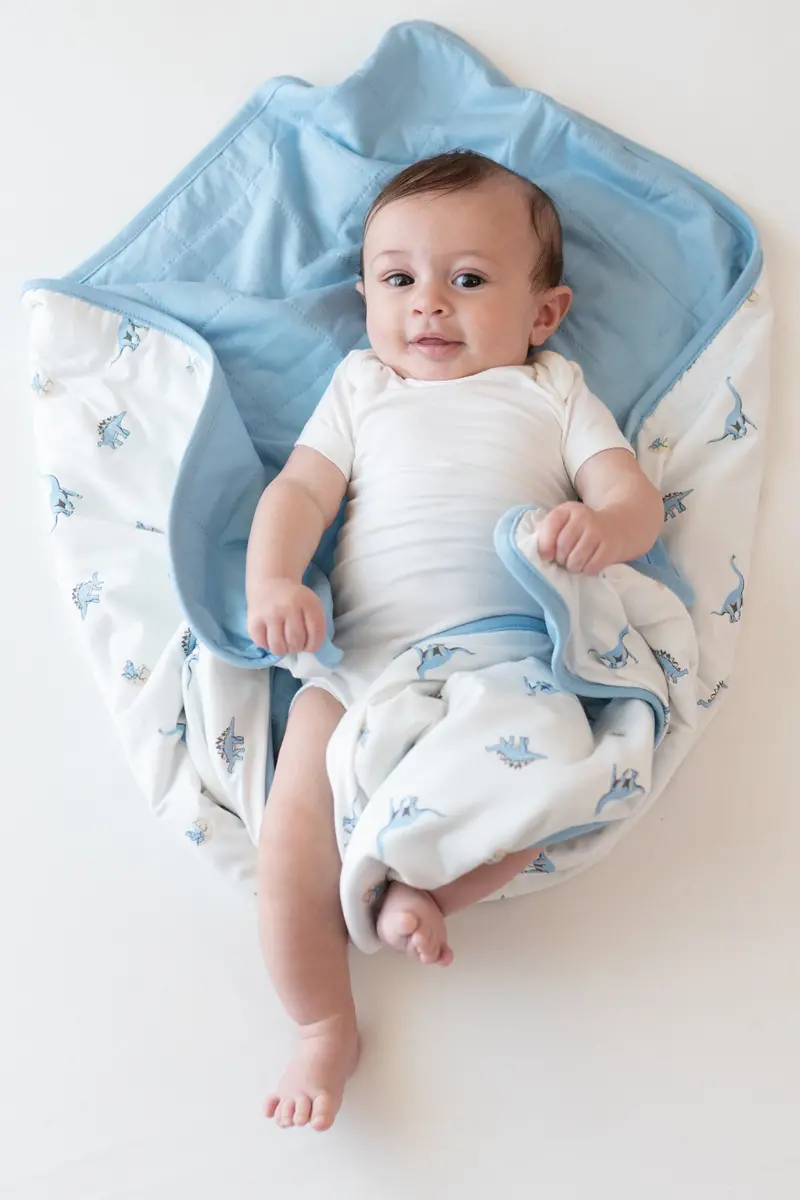 Baby Blanket In Jurassic 1.0 1