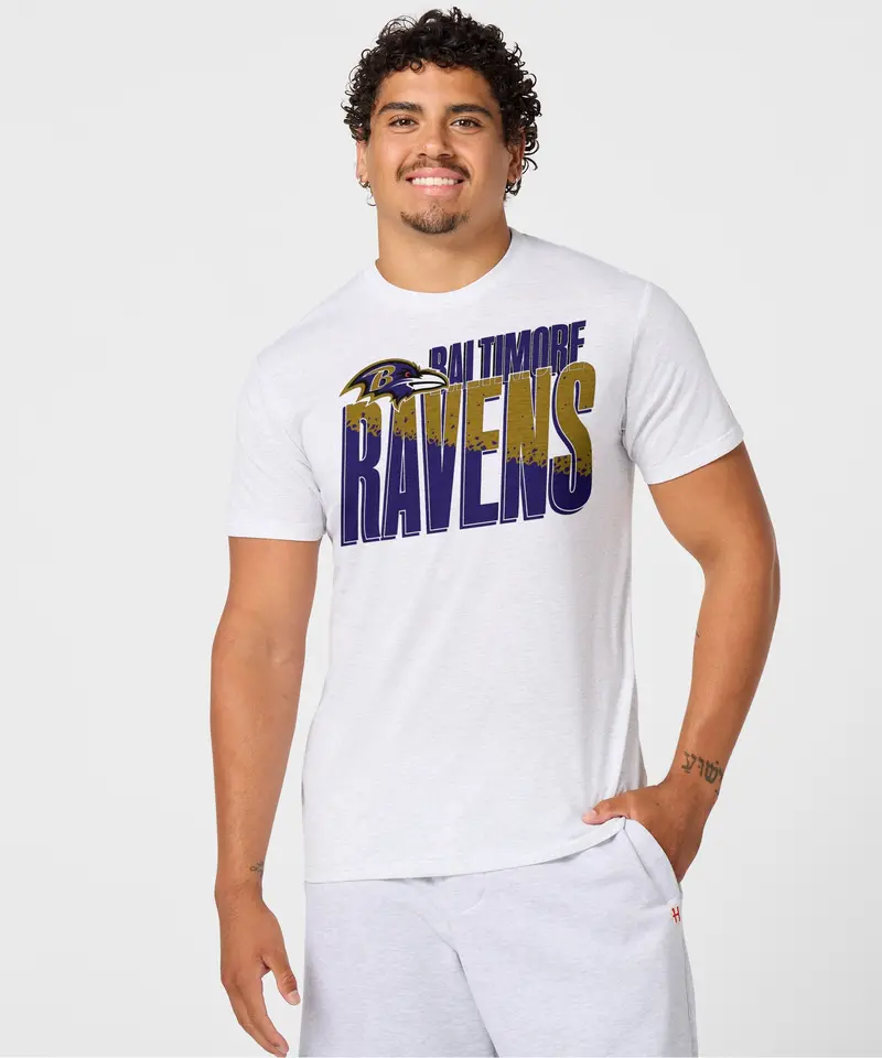 Baltimore Ravens Color Splash 3