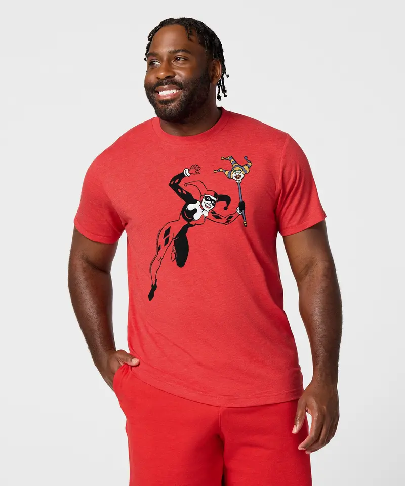 Batman Harley Quinn Character 3
