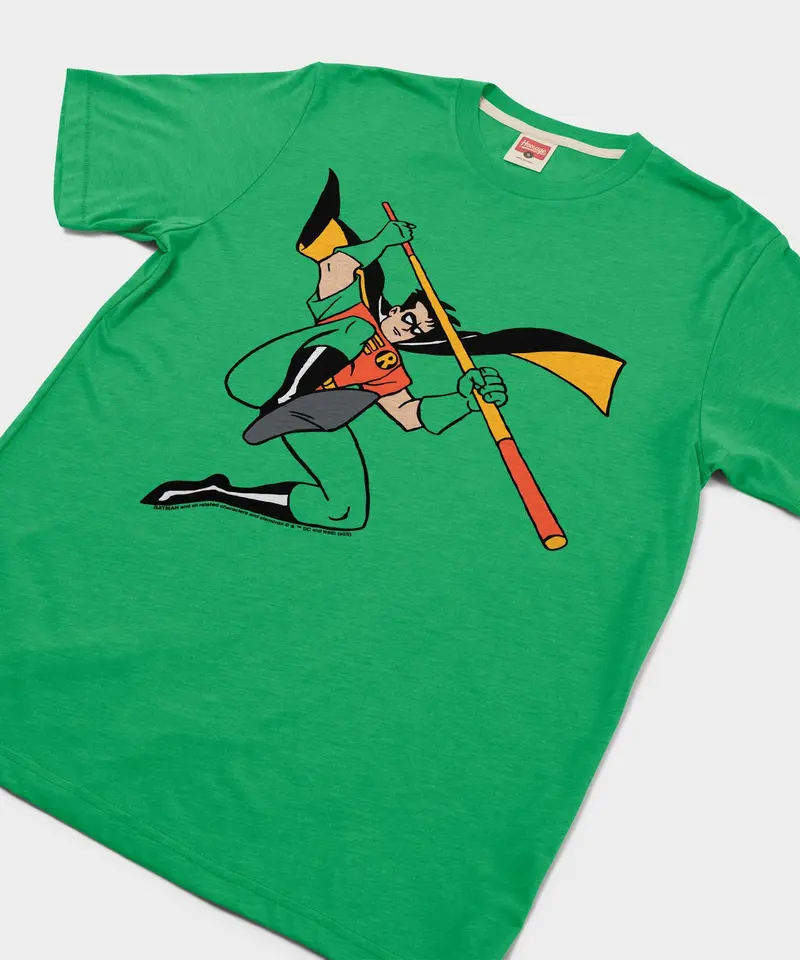 Batman Robin Character 2