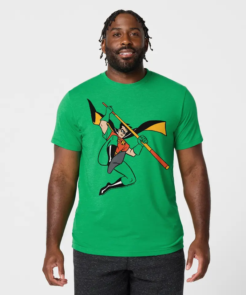 Batman Robin Character 3