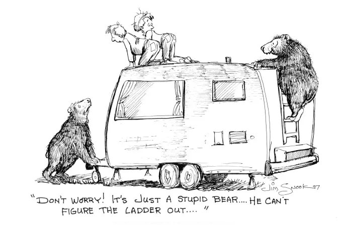 Bear On Ladder Print 1