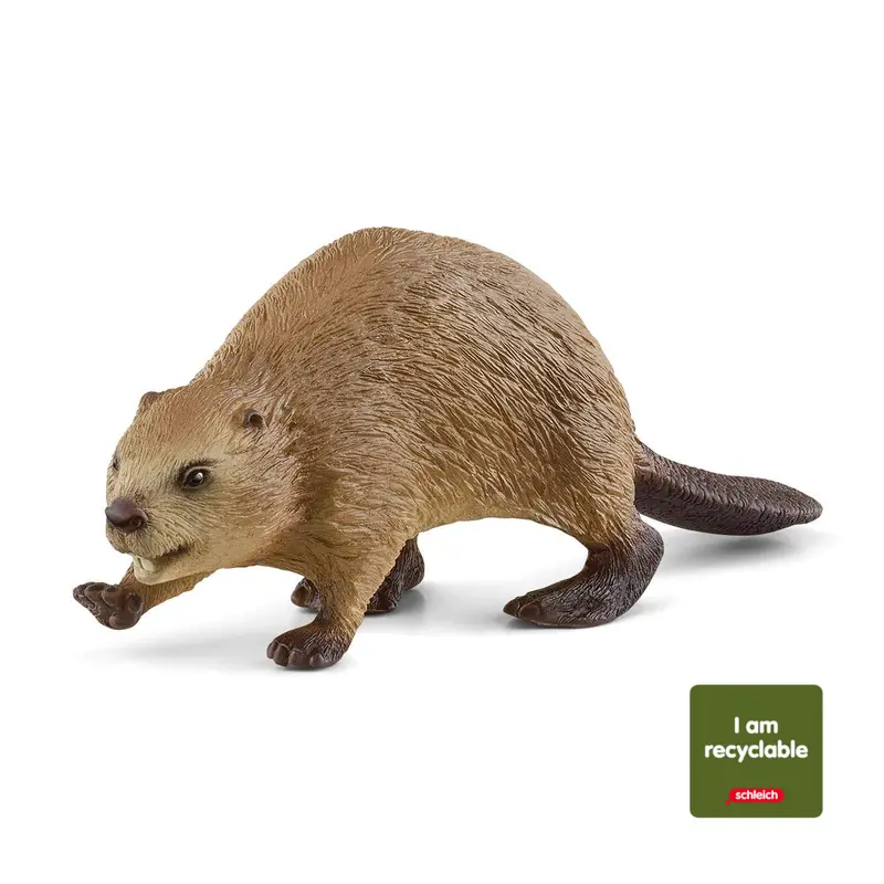 Beaver (Circular) 1