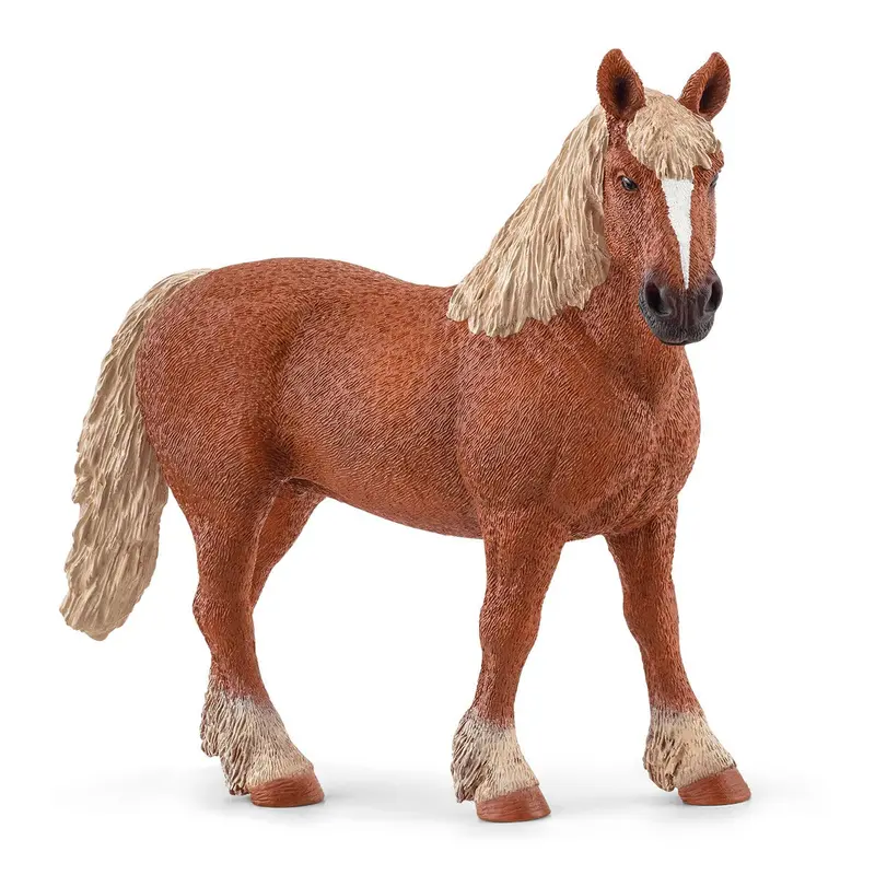 Belgian Draft Horse 1