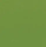 Bella Solid 9900 192  Leaf   (Moda Bella Solid) 1