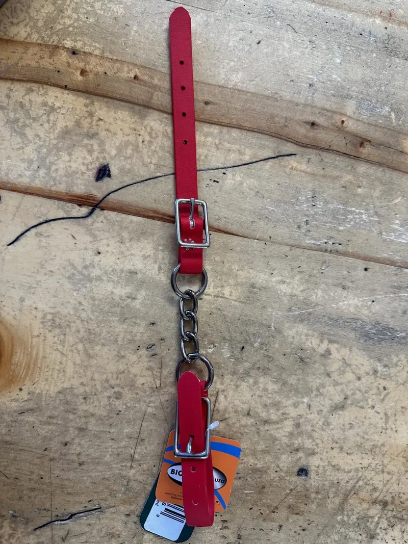 Berlin Beta Single Chain Curb 1