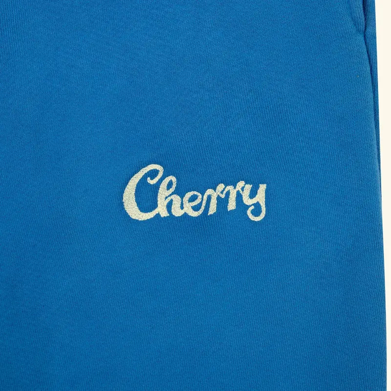 Best Quality Sweatpants (River Blue) 5