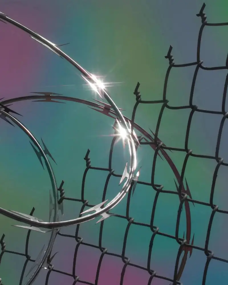 Between The Razor Wire 2