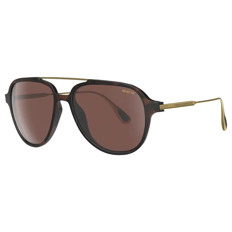 Bex Kabb Sunglass 2