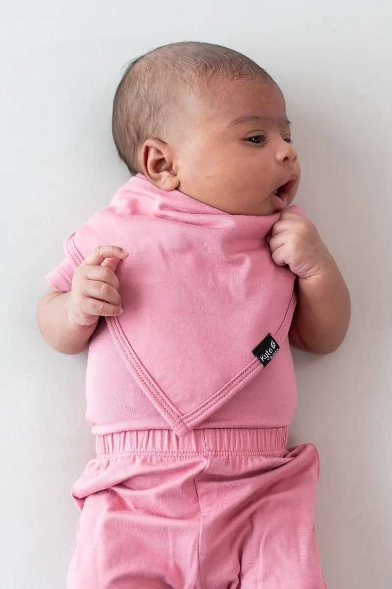 Bib In Apple Blossom 1