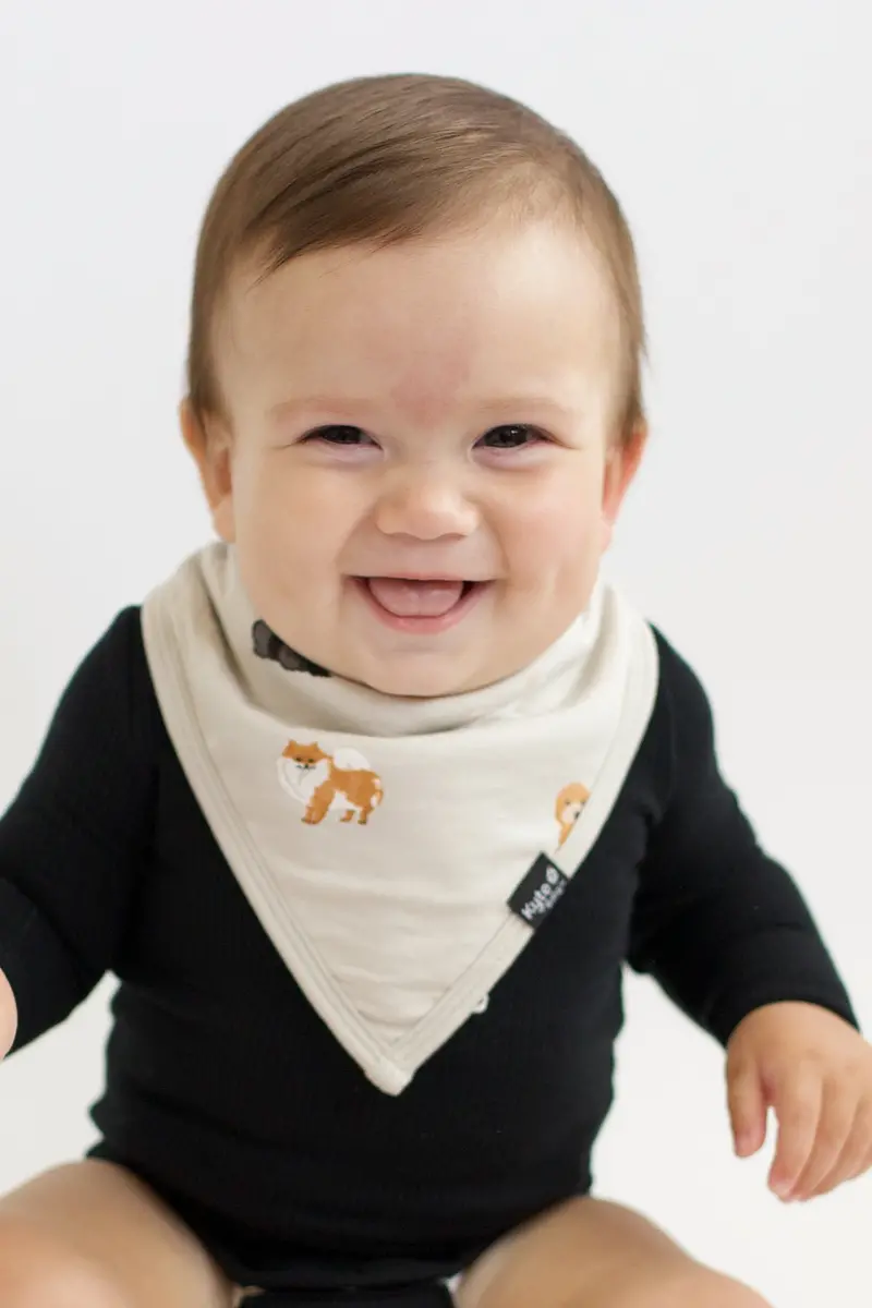 Bib In Fluffy Dog 1
