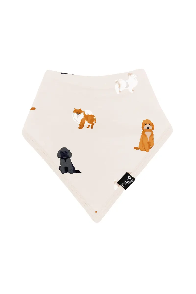 Bib In Fluffy Dog 2