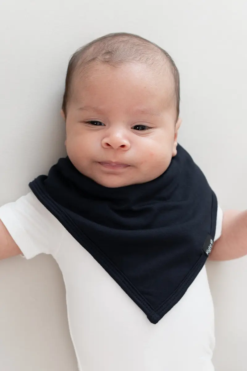 Bib In Midnight 1