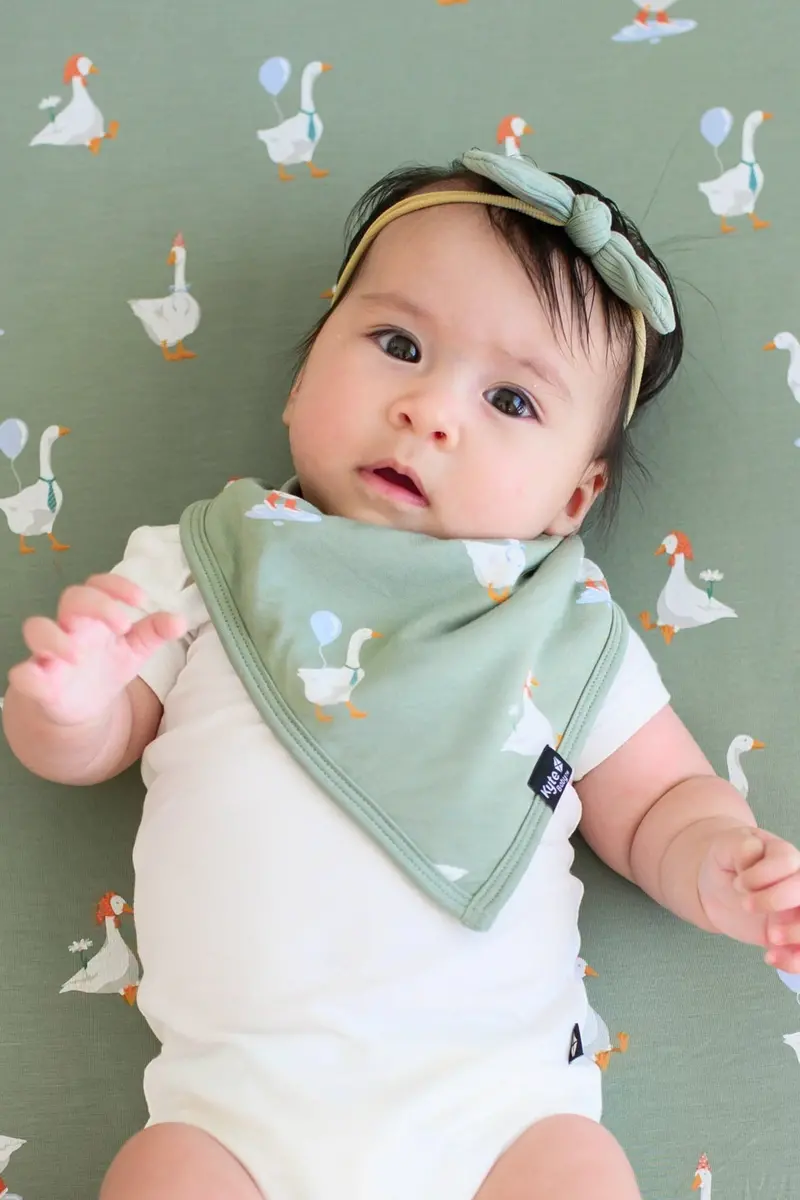 Bib In Silly Goose 1