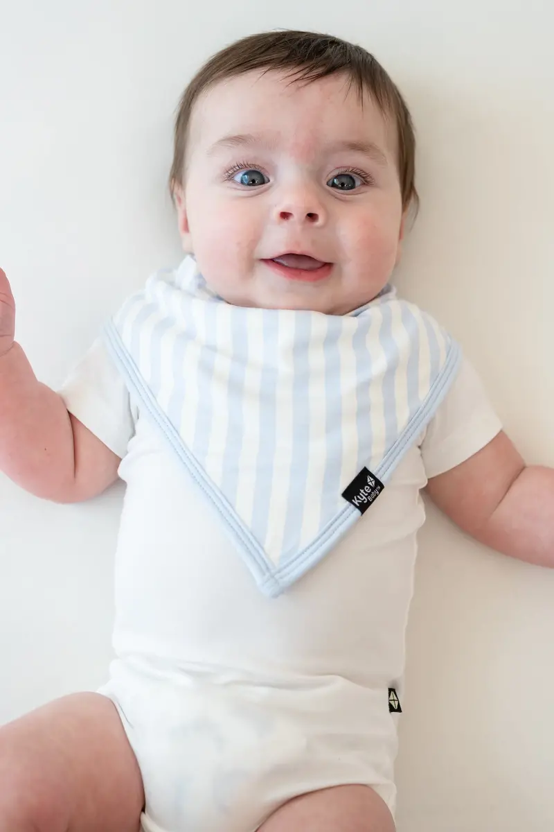 Bib In Small Mist Stripe 1