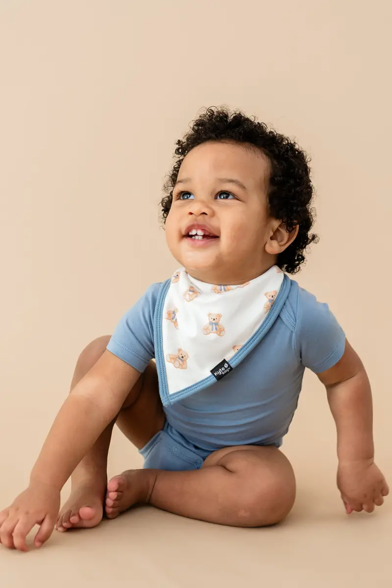 Bib In Teddy Bear 1