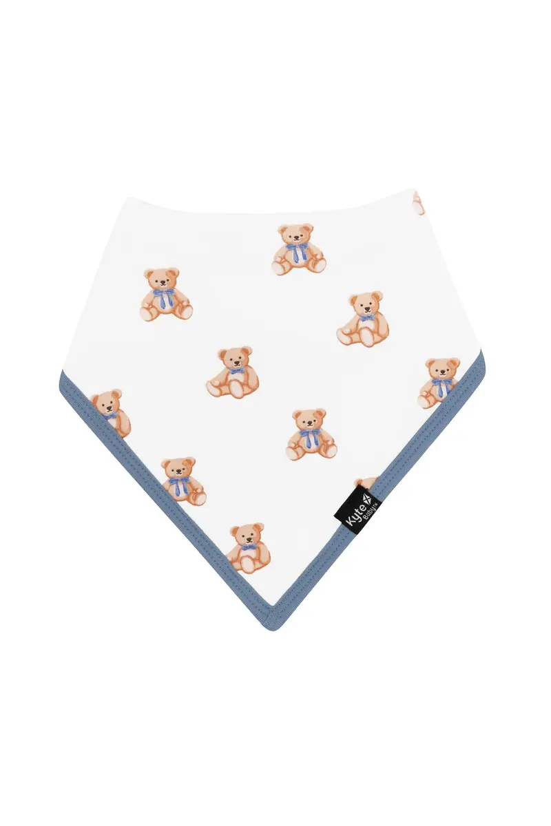 Bib In Teddy Bear 2