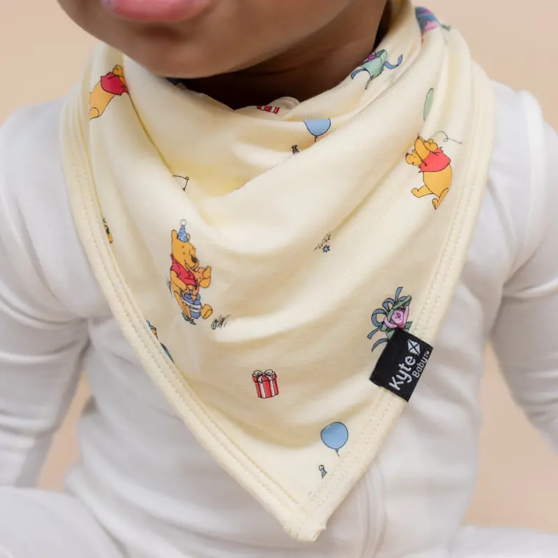 Bib In Winnie The Pooh Celebration 1