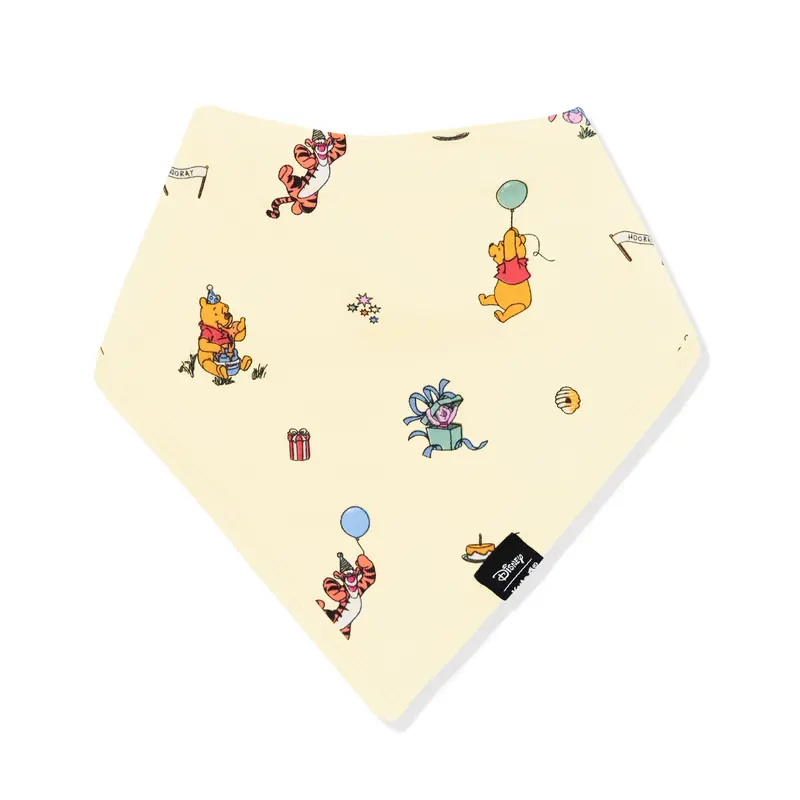 Bib In Winnie The Pooh Celebration 2