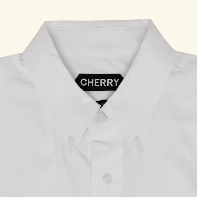 Big Oxford Shirt (White) 4
