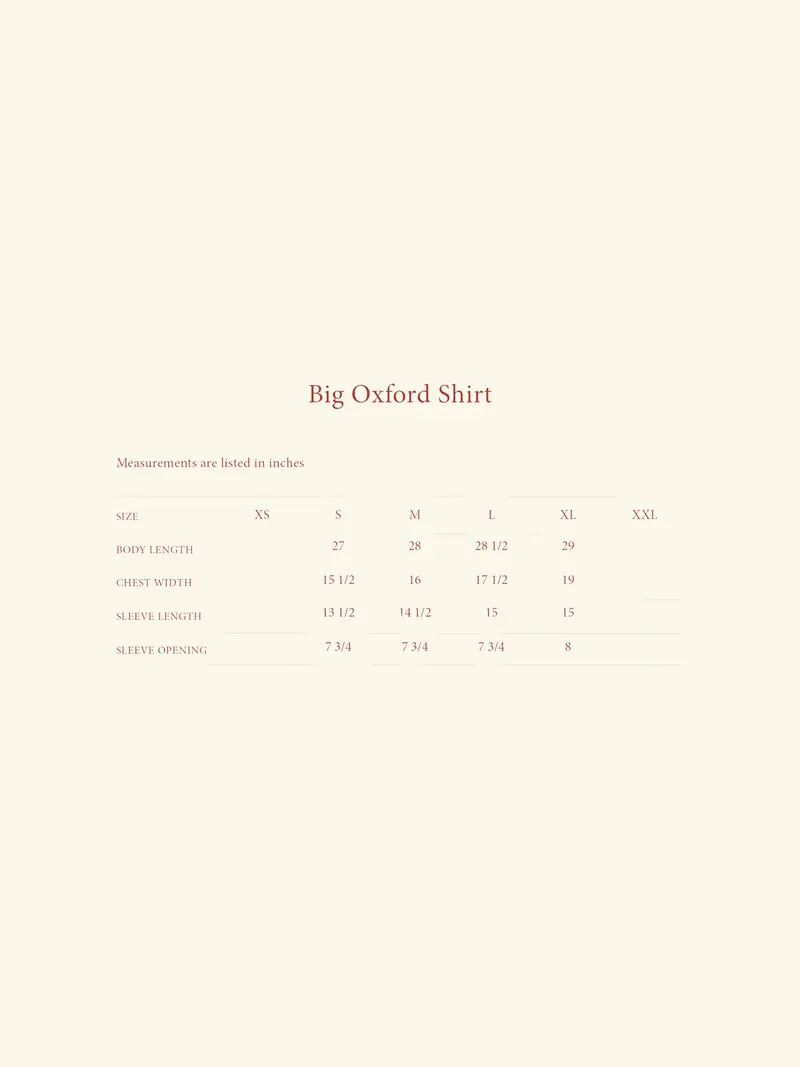 Big Oxford Shirt (White) 6